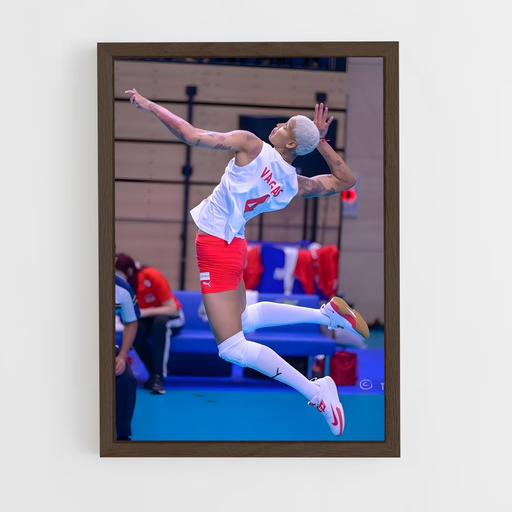 Poster Envolée Volleyball (vue 5)